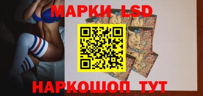 мяу мяу мука Нальчик