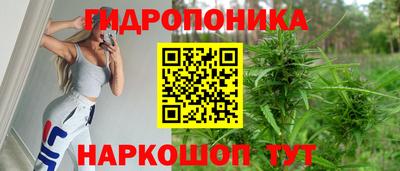 мяу мяу мука Нальчик